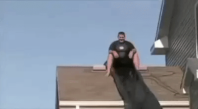 gif (3)