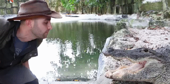 gif (12)