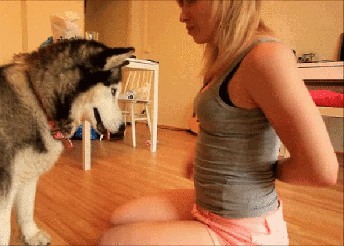 gif (3)