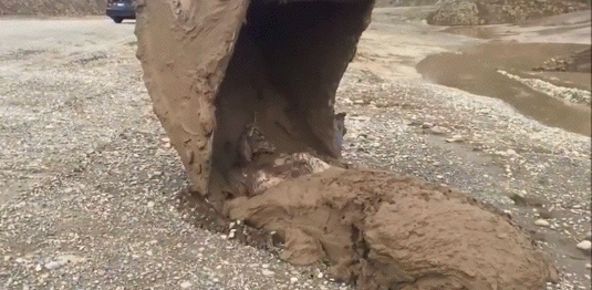 gif (8)