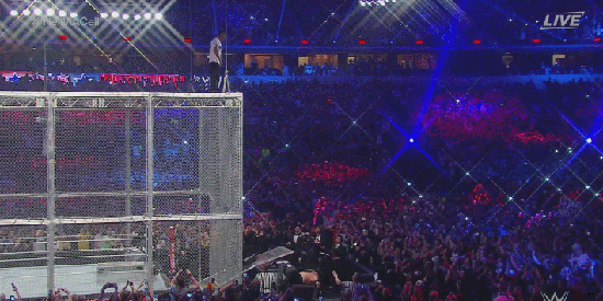 0gif (13)
