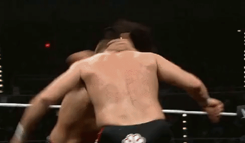 gif (9)