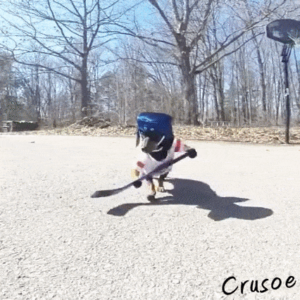 gif (27)
