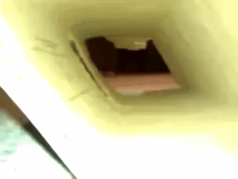 gif (28)