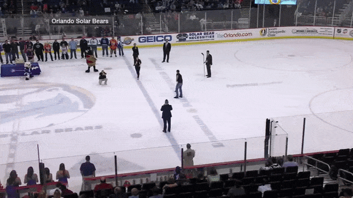 gif (28)