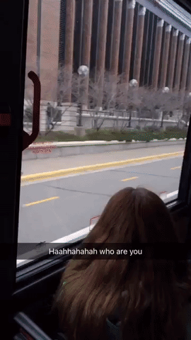 gif (3)