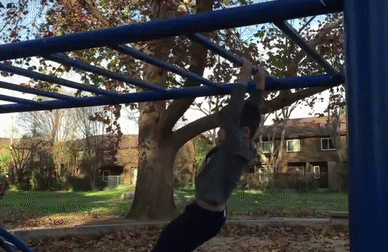 gif (6)