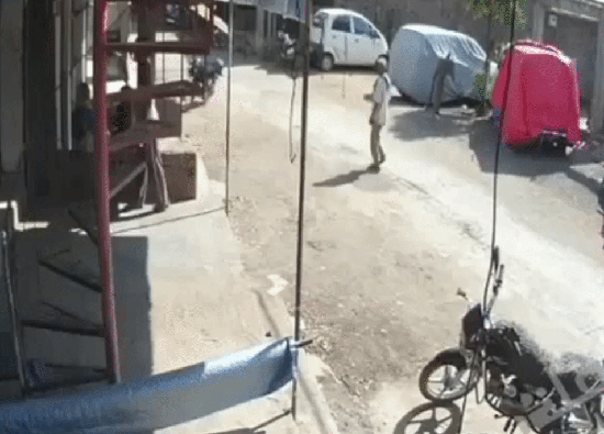 gif (11)