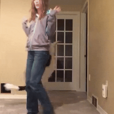 gif (23)