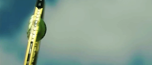 gif (30)