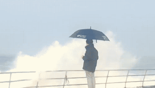 gif (9)