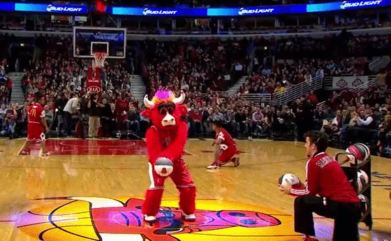 gif (13)