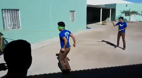 gif (27)