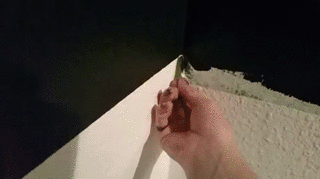 gif (20)