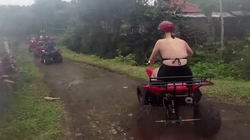 gif (5)