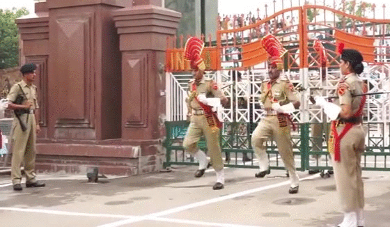 gif (12)