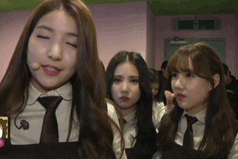 gif (15)
