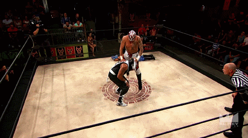 gif (2)