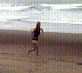 gif (28)