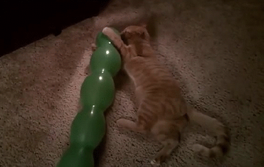 gif (6)