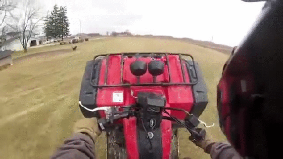 gif (9)