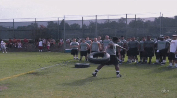 gif (14)