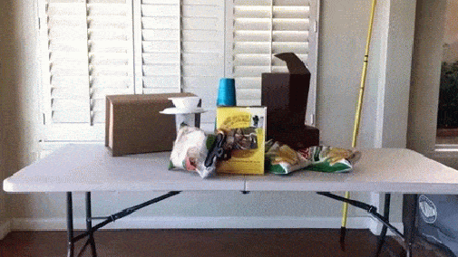 gif (2)