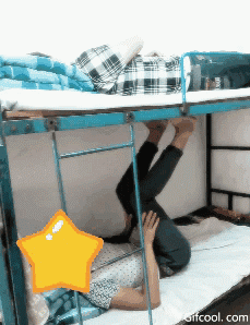 gif (23)