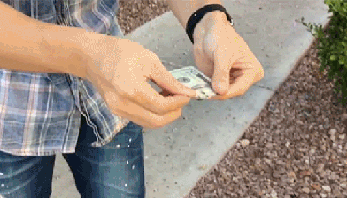 gif (3)
