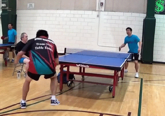 gif (11)