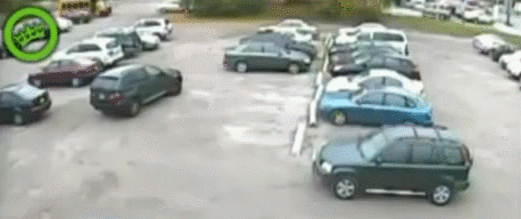 gif (12)