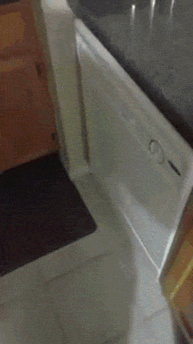 gif (27)