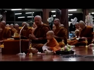 gif (1)