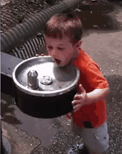 gif (20)