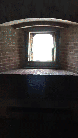 gif (26)