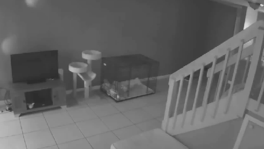 gif (7)