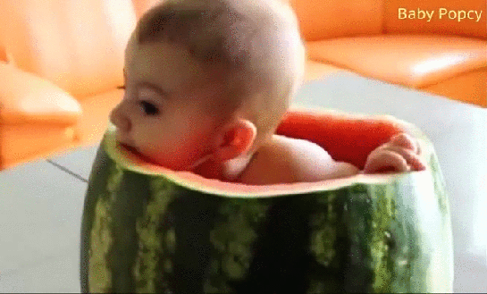 gif (12)