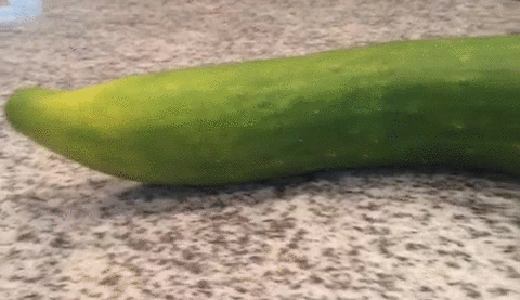 gif (3)