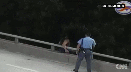 gif (15)