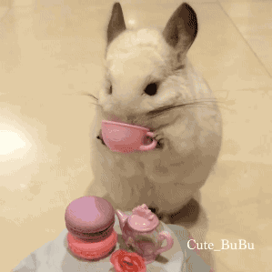 gif (26)