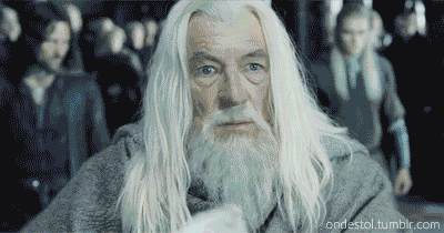 gif (4)