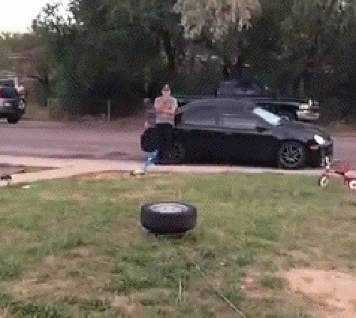 gif (7)