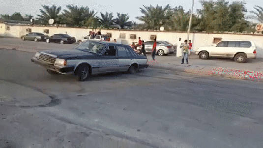 gif (4)