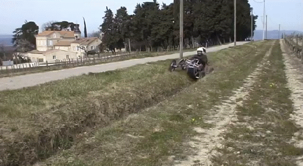 gif (7)