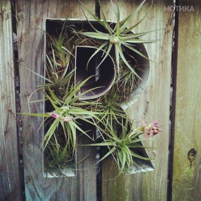 gradina (26)