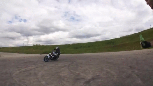gif (10)