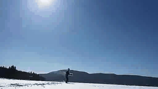 gif (19)
