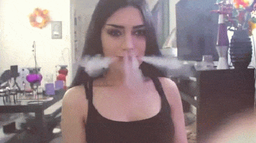 gif (20)