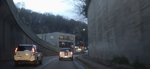 gif (5)
