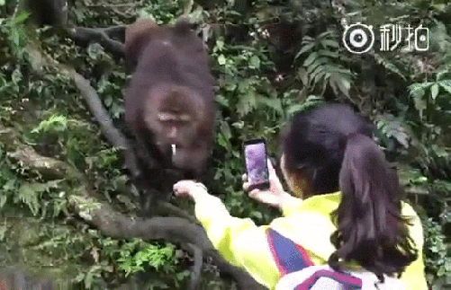 gif (7)